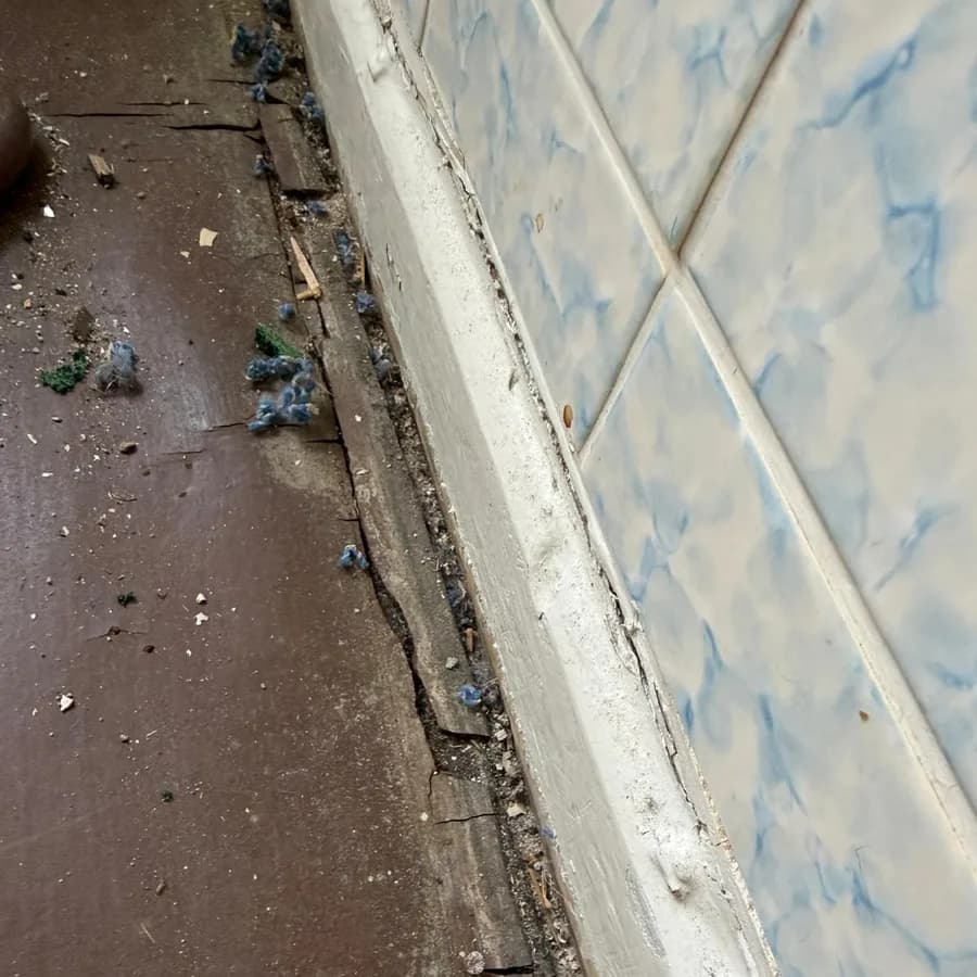 Beispielaufnahme aus vorhandenen Projektbildern; die Zusammensetzung muss im konkreten Fall geprüft werden.